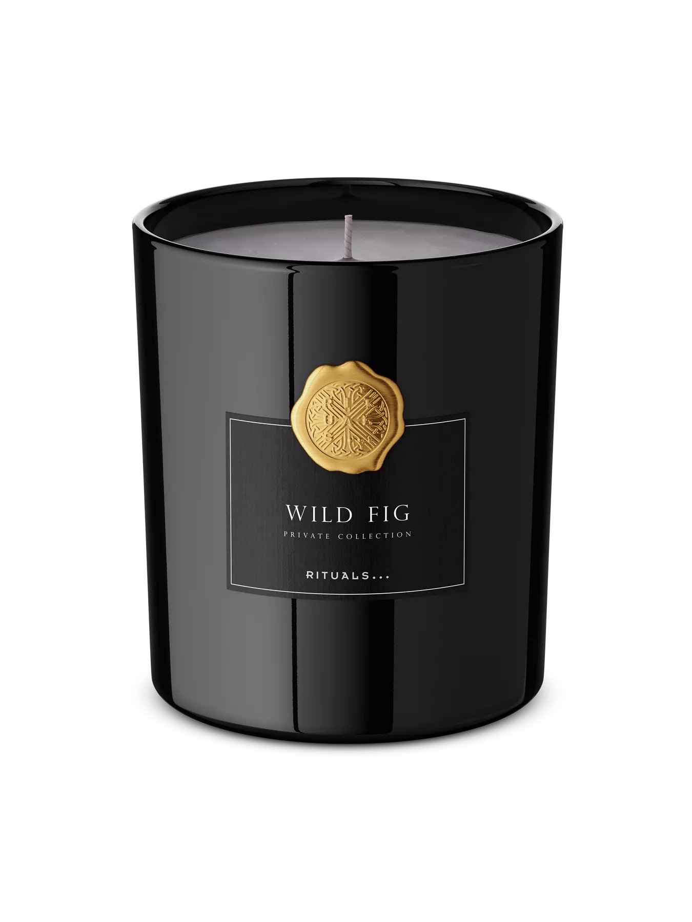 Wild Fig Scented Candle