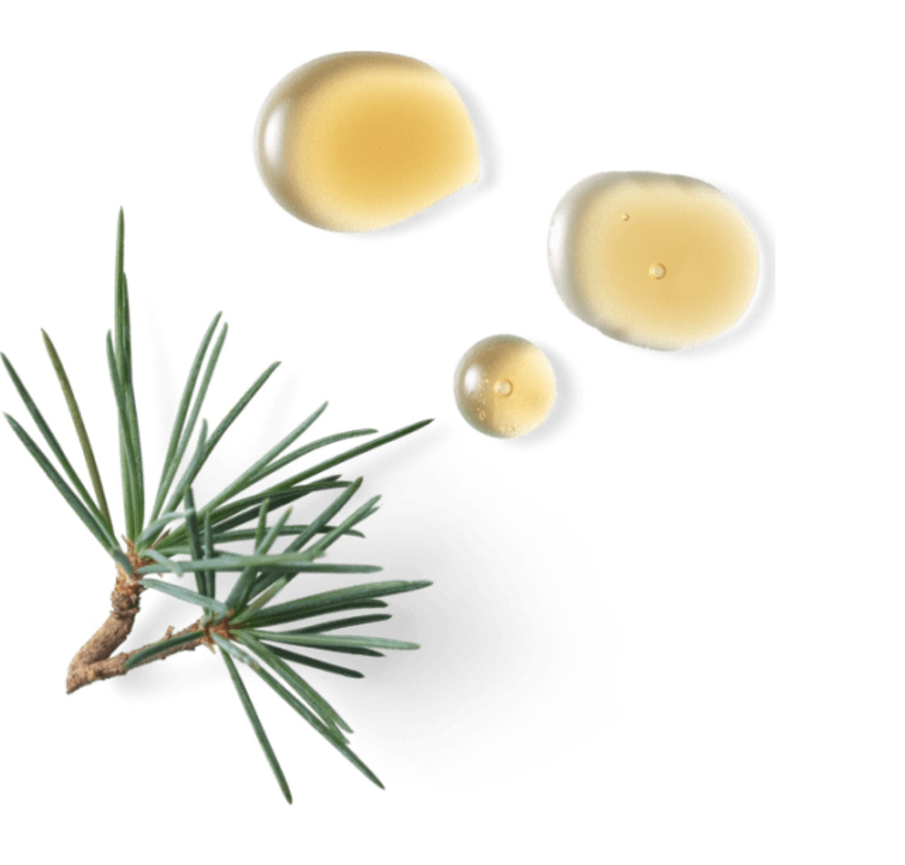 HOMME Anti-perspirant Stick