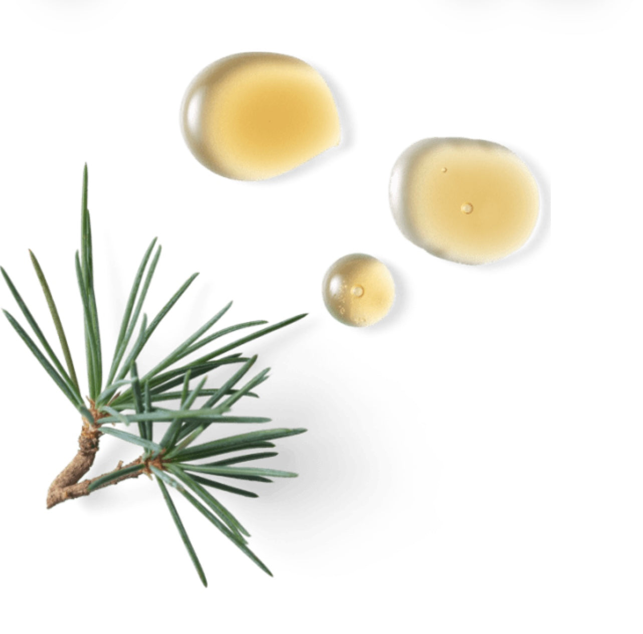 HOMME Anti-perspirant Stick stick antitranspirante, 75 ml