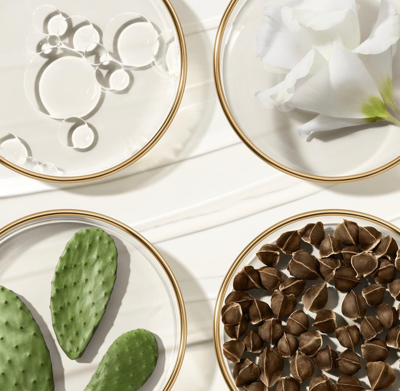 ESTÉE LAUDER Revitalizing Supreme+ Creme Hidratante REVITALIZING SUPREME LIGHT CREAM