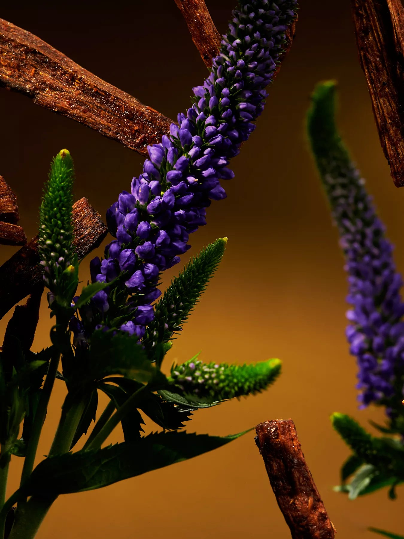 OUDH Esfoliação corporal  com açúcar