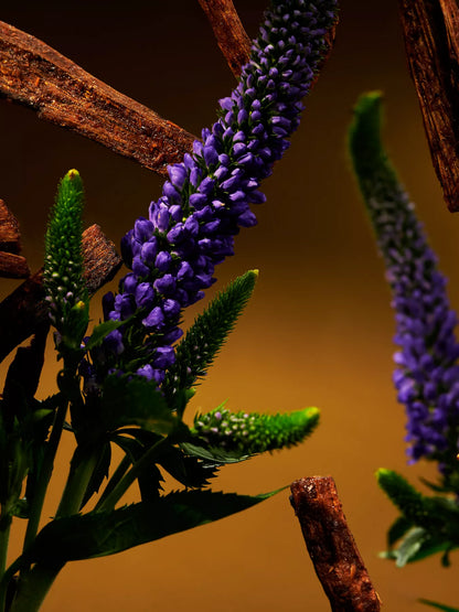 OUDH Esfoliação corporal  com açúcar