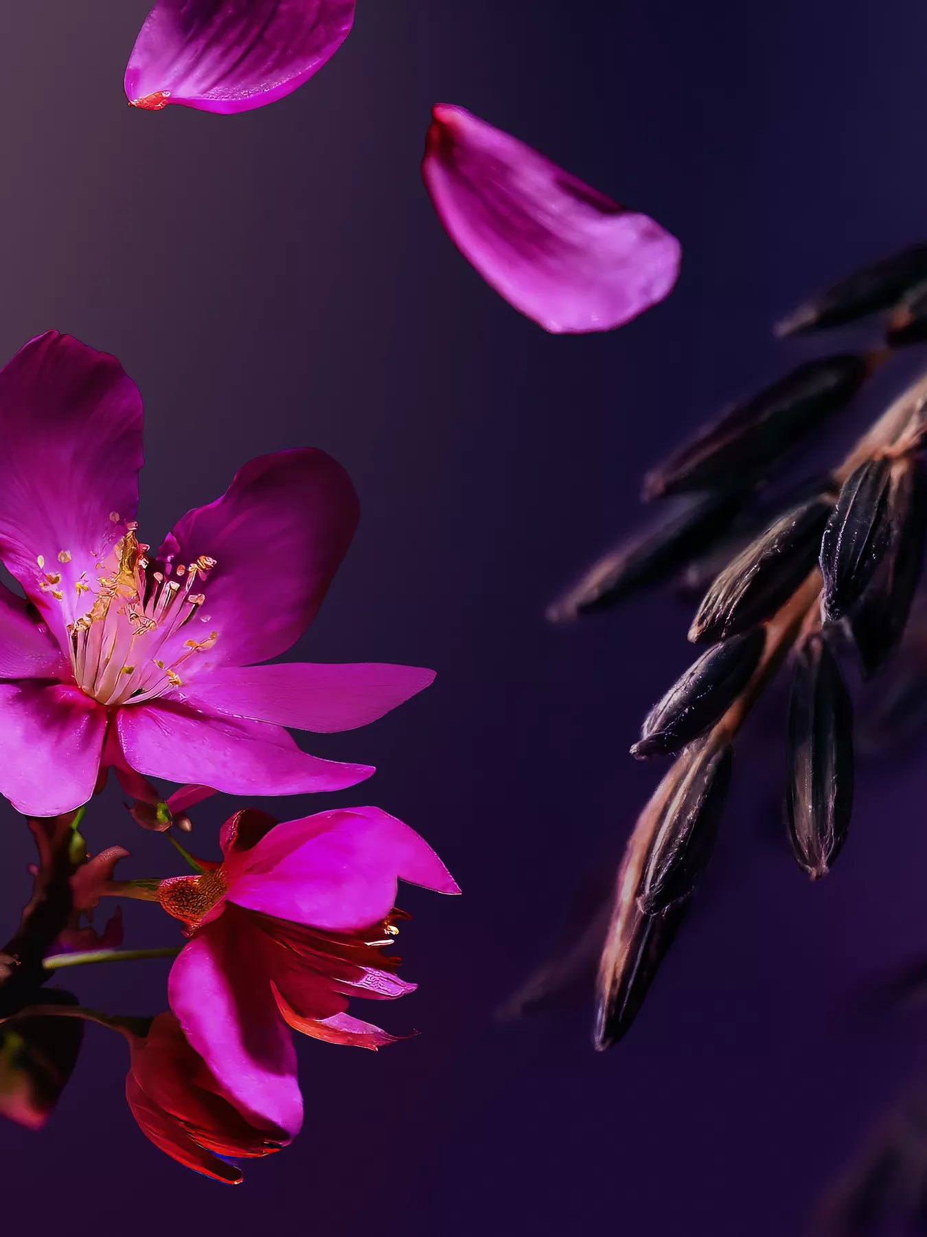 YOZAKURA Rich Body Cream