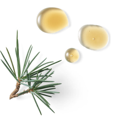 HOMME Anti-perspirant Stick